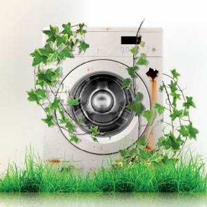 Pralni stroj stoji na zelenici in je obdan z vejami bršljana. 